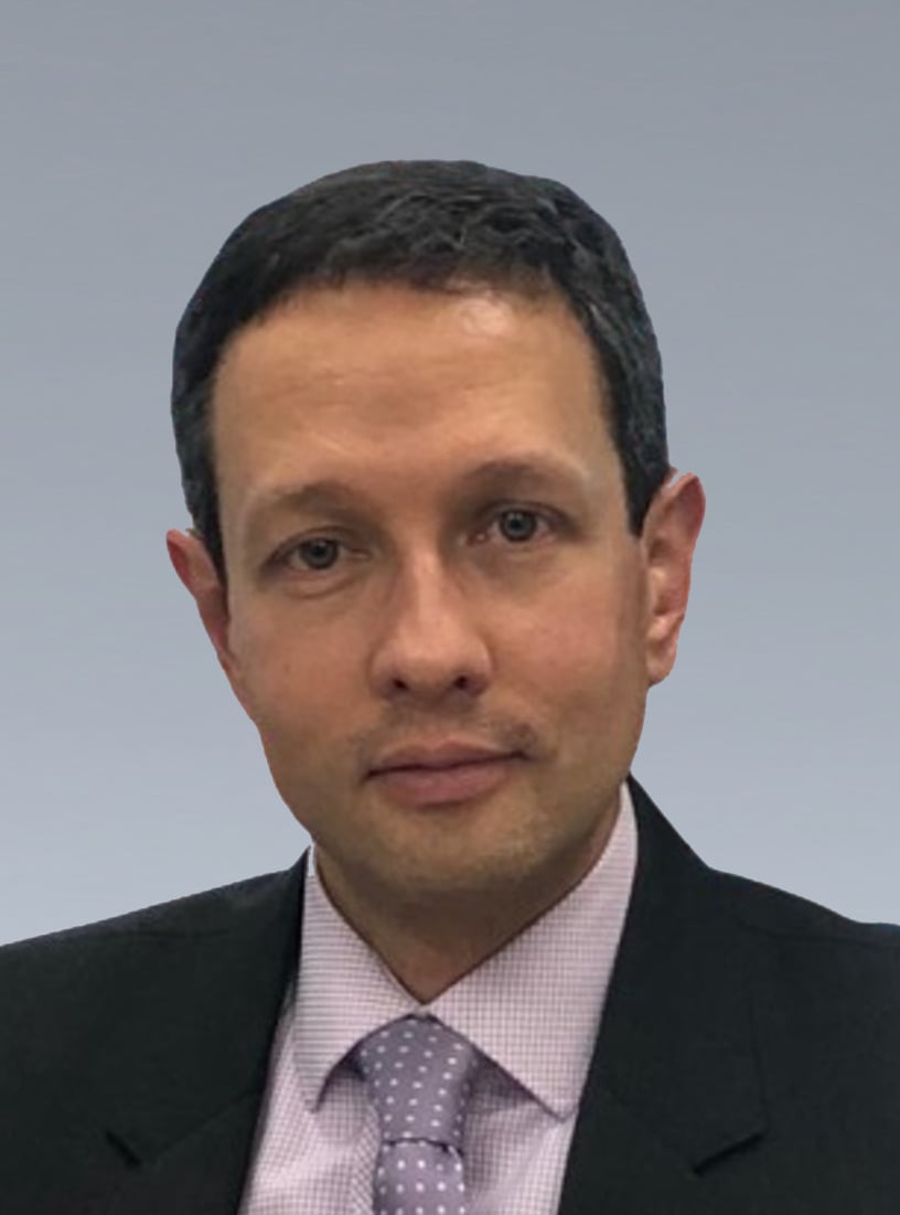 Professor Luis Gabriel Bernal-Pulido